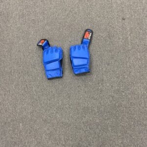 Blue sparring gloves