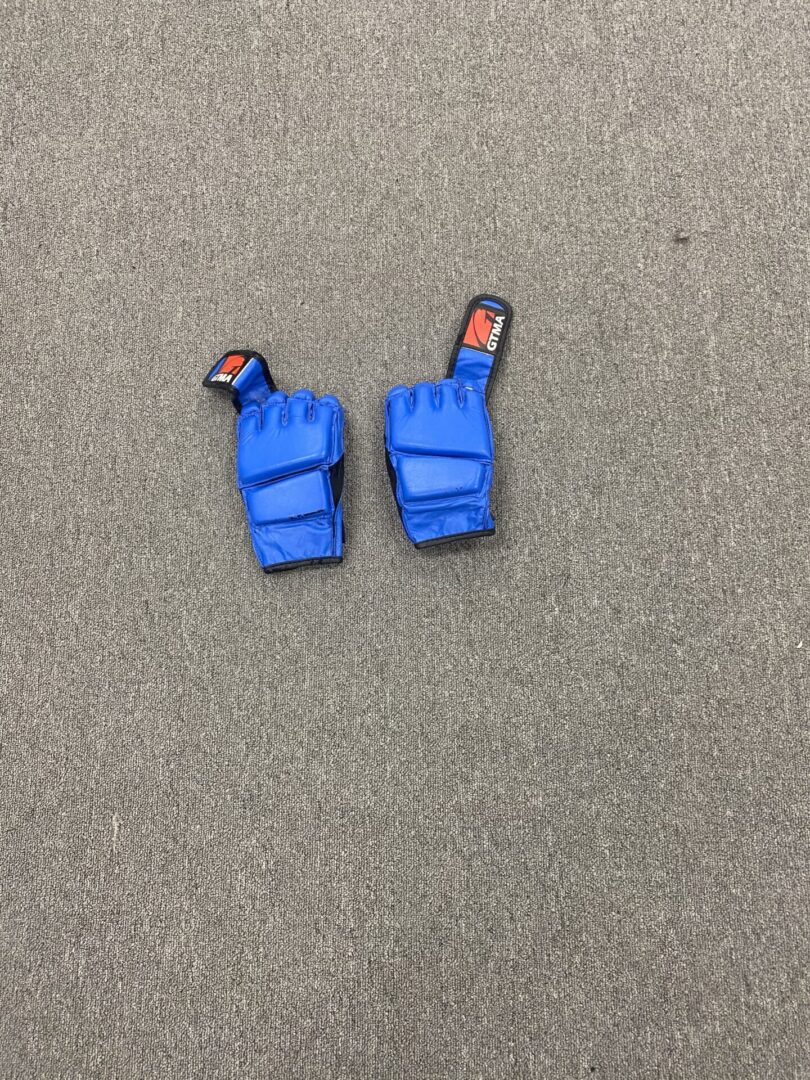 Blue sparring gloves
